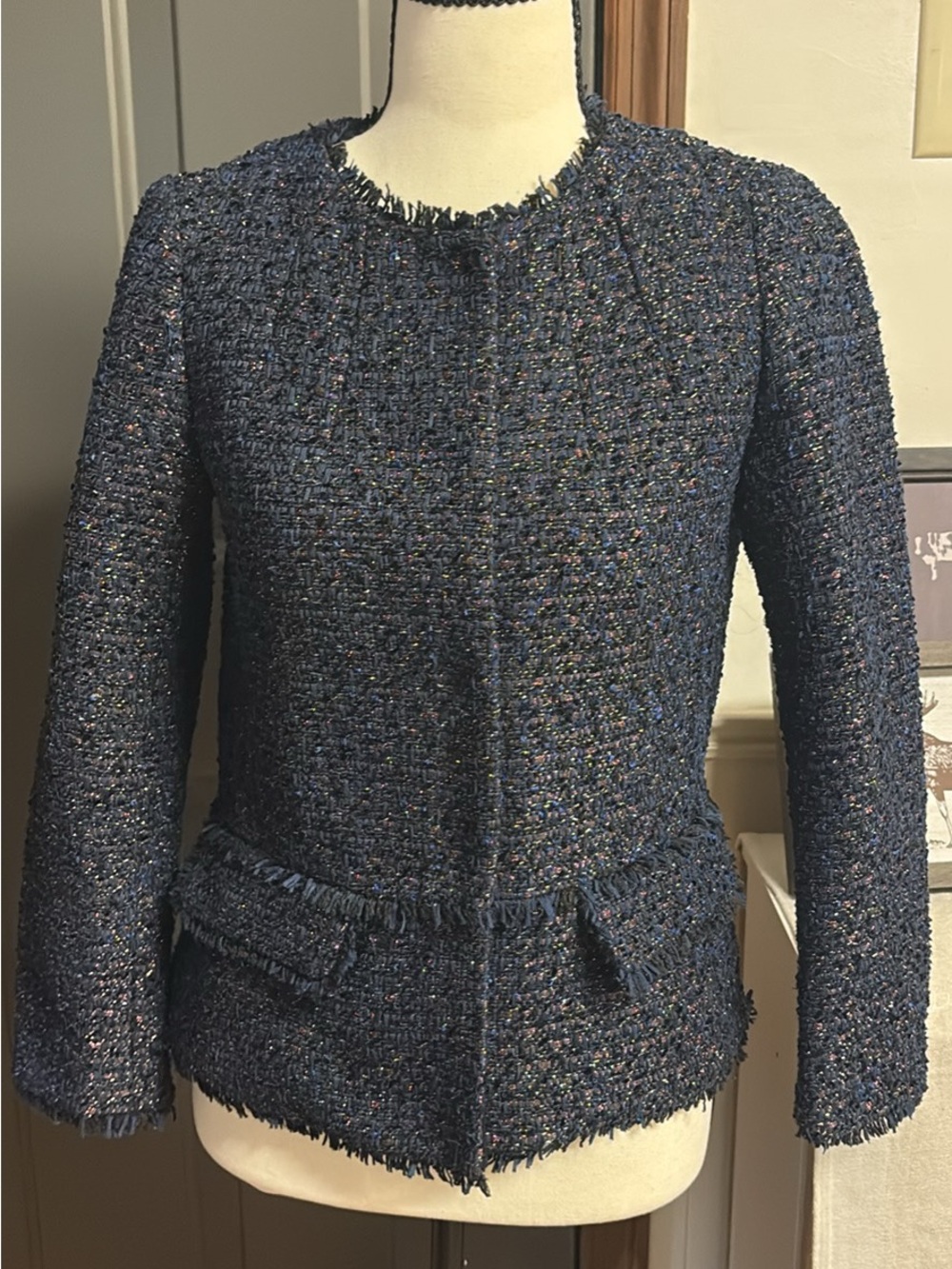Ann Taylor Navy Tweed Fringe-Trim Blazer